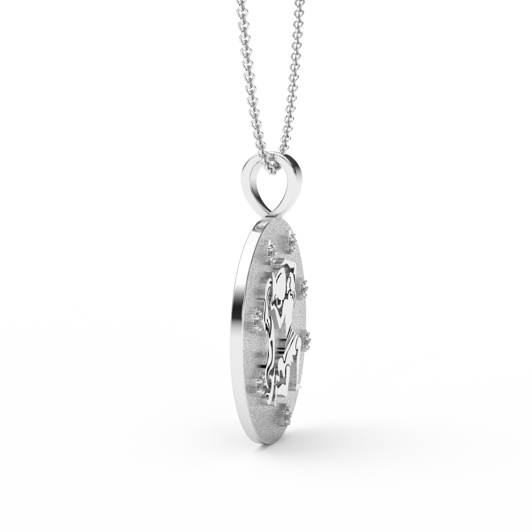 AQUARIUS Zodiac Coin Necklace - 18 MM Horoscope Sign Round Disk Medallion - Astrological Amulet - 2-Sided with 7 Diamond Stars
