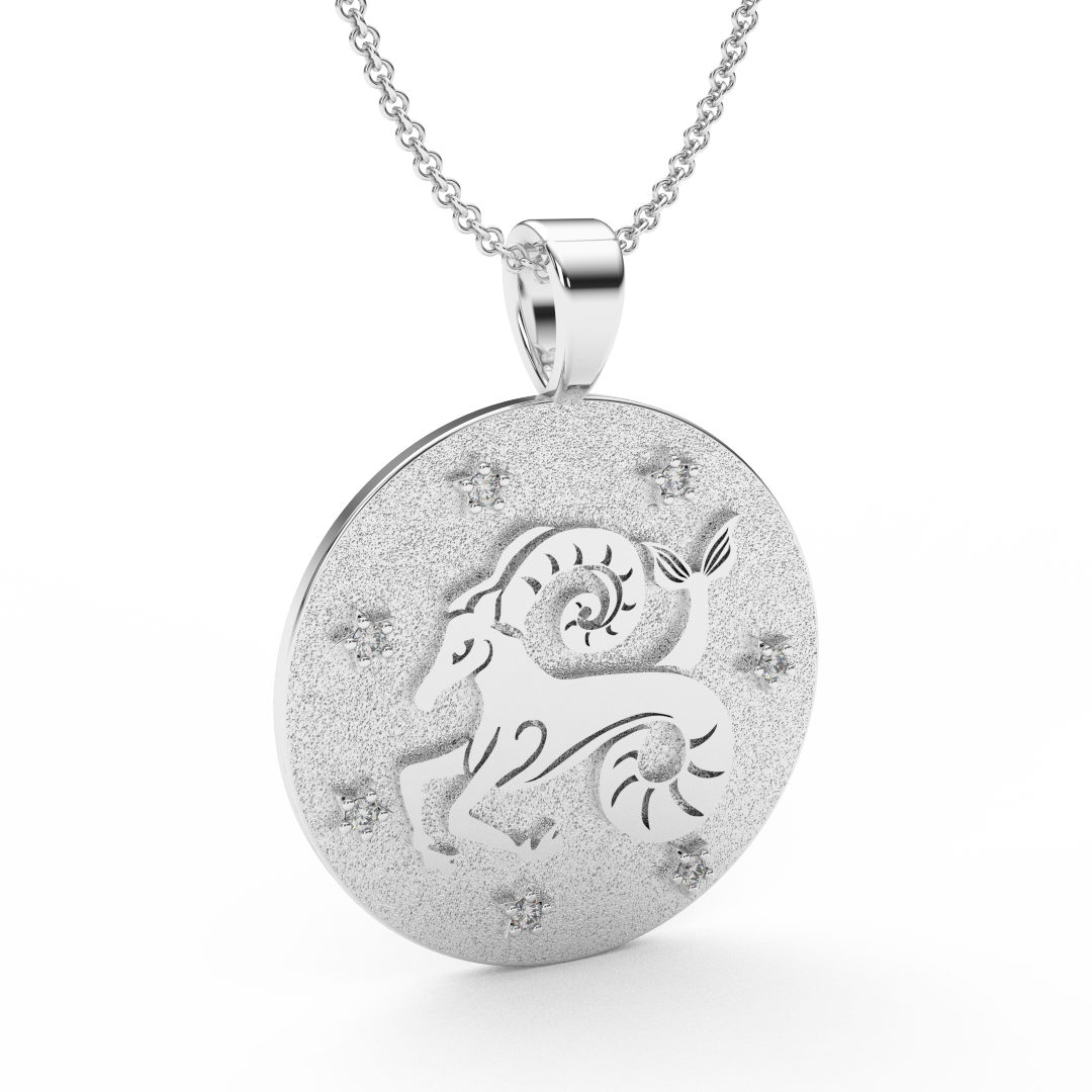 CAPRRICORN Zodiac Coin Necklace - 18 MM Horoscope Sign Round Disk Medallion - Astrological Amulet - 2-Sided with 7 Diamond Stars